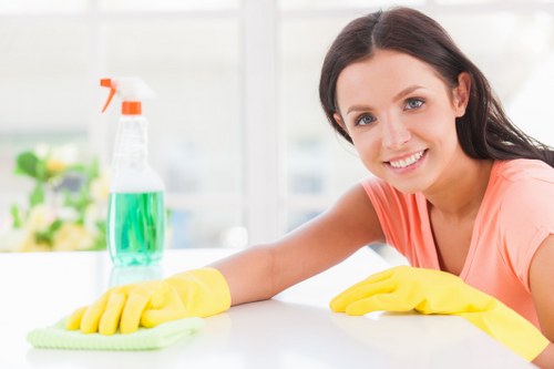 Professional oven cleaning service for a Chiswick kitchen