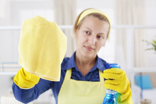 Recurring cleaning service for homes and businesses in Chiswick