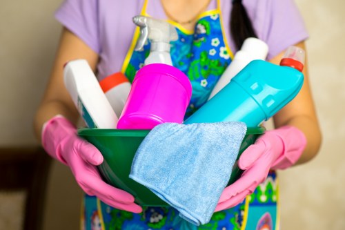 Eco-friendly carpet cleaning service with recycled materials
