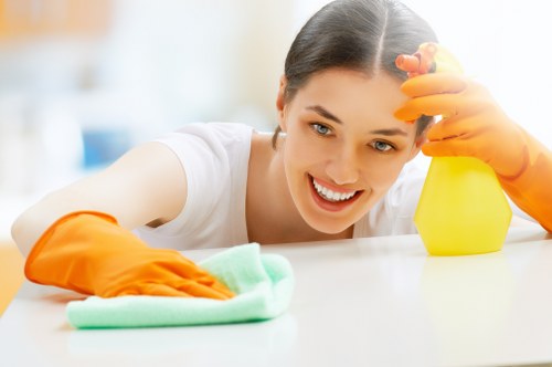 Routine domestic cleaning tasks in a Chiswick kitchen and living area