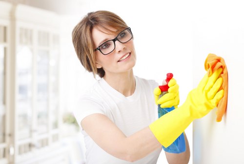 Upholstery stain removal and deodorising for a sofa in Chiswick