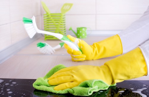 Bathroom and household cleaning support for a Chiswick residence