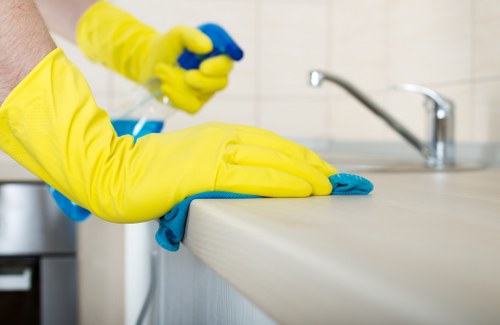 Local domestic cleaning service covering homes around Chiswick and nearby west London areas
