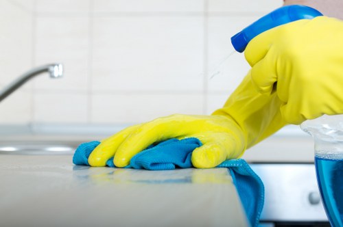 Detailed kitchen cleaning during a move out clean in Chiswick
