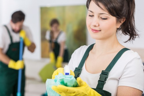 Residential and commercial sofa cleaning service covering Chiswick