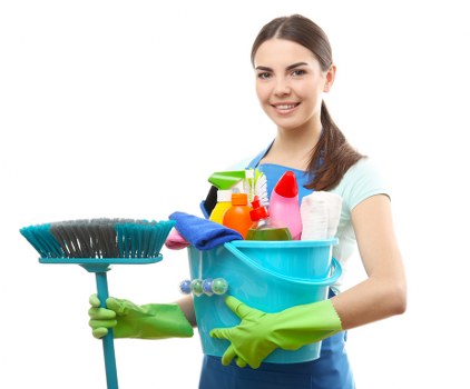 Deep cleaning of a carpet affected by pet urine odour in Chiswick