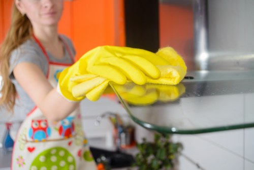Professional gutter cleaning service for homes and businesses in Chiswick