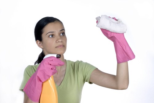 Domestic cleaner working in a modern Chiswick apartment