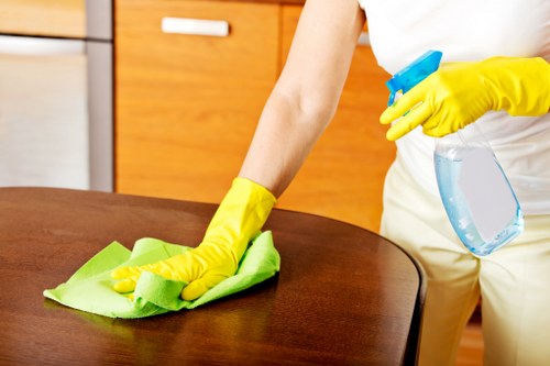 Detailed bathroom cleaning service for Chiswick properties